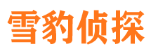 剑川市场调查